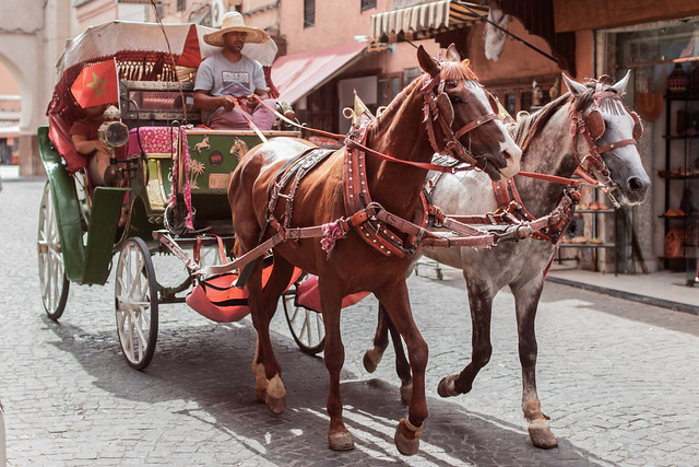 Marrakech: The Complete First-Timer's Guide