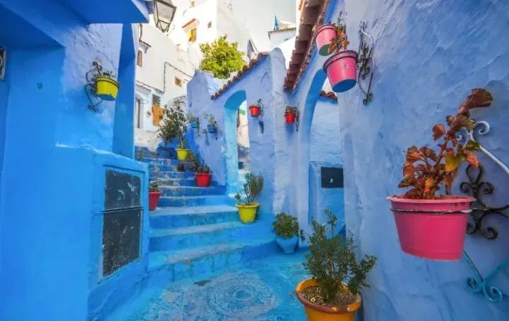 Grand Morocco Tour: 12-Day Private Tour 4