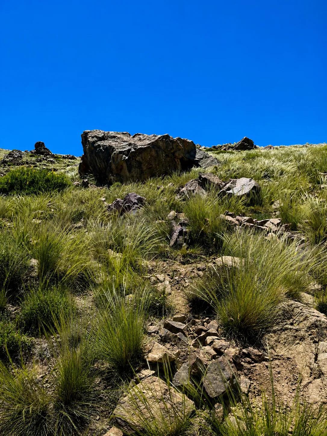 Marrakech: Imlil Waterfall & Atlas Mountains Day Trip with Guide