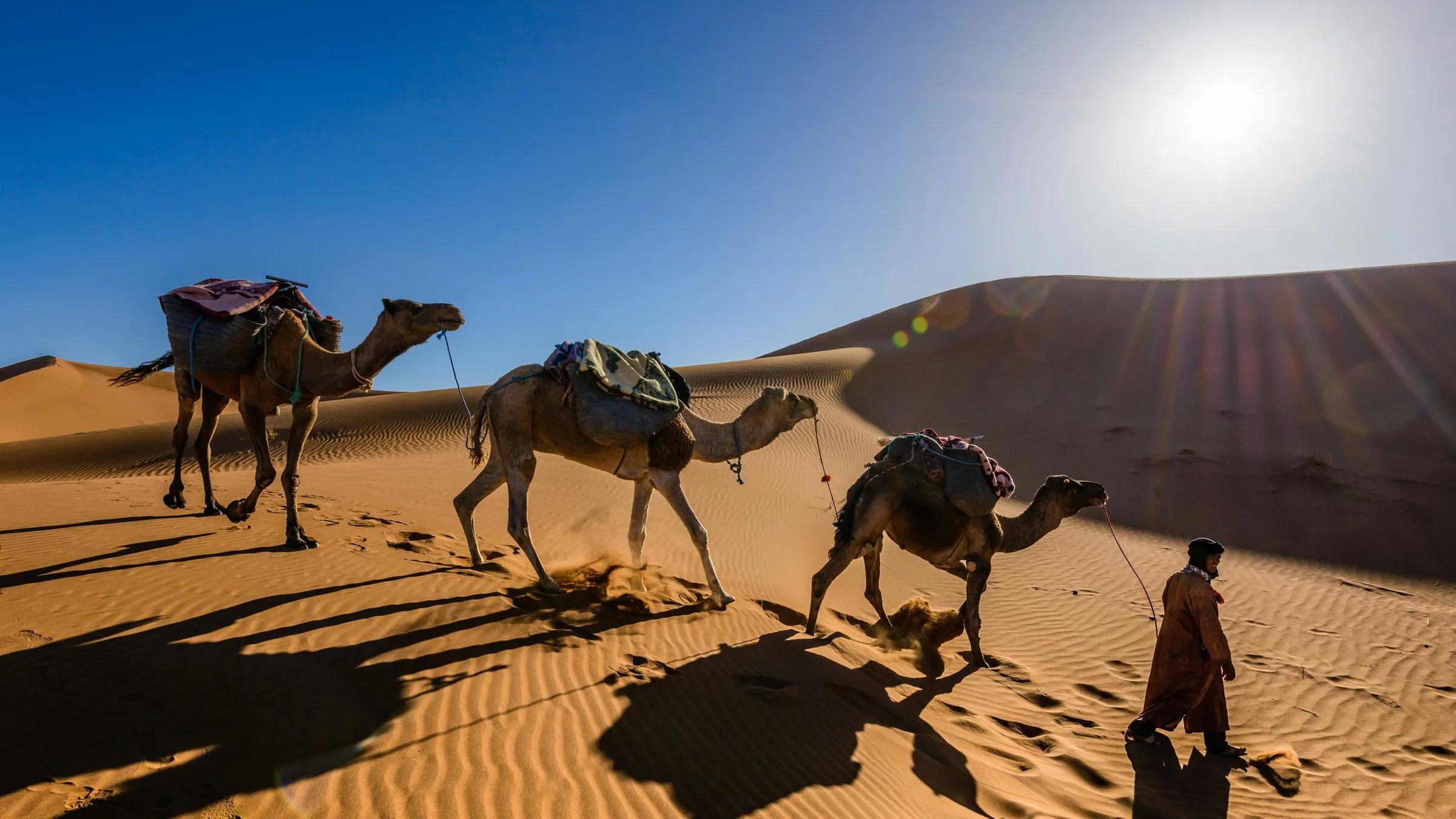 Morocco landscape